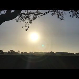 Meet your Posher, Joseph